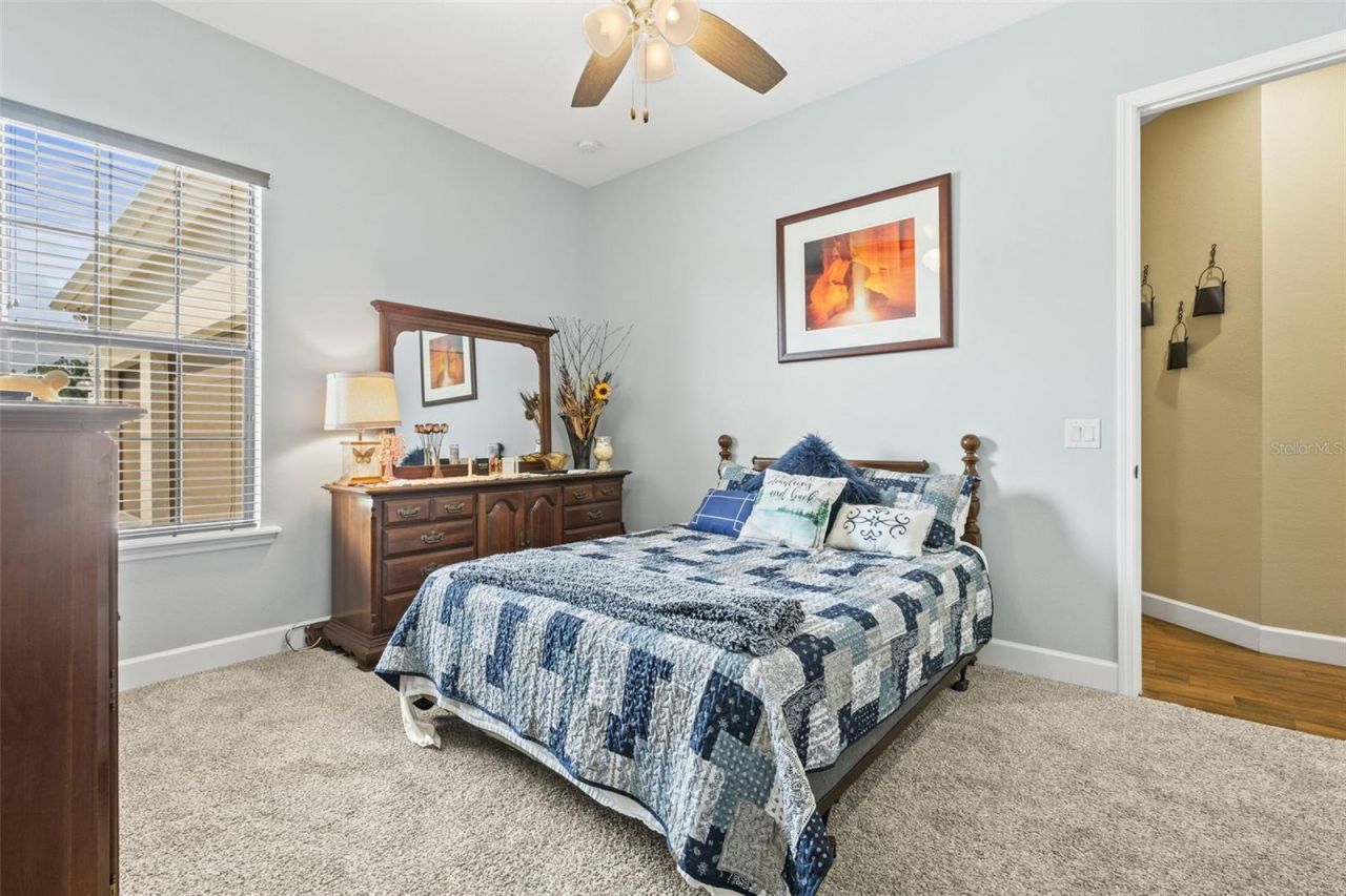 5319 W Trapnell Road, Dover, FL 33527 Photo