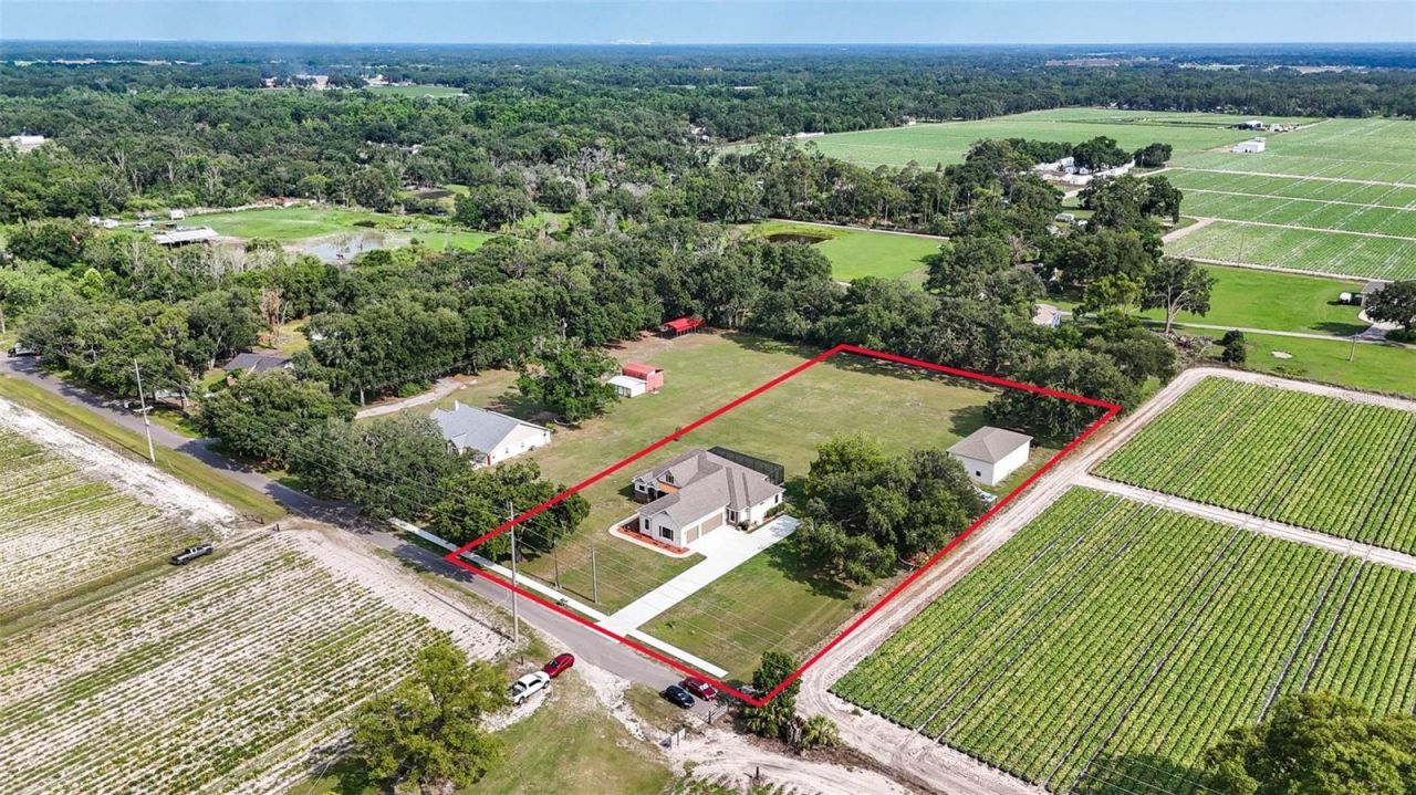 5319 W Trapnell Road, Dover, FL 33527 Photo