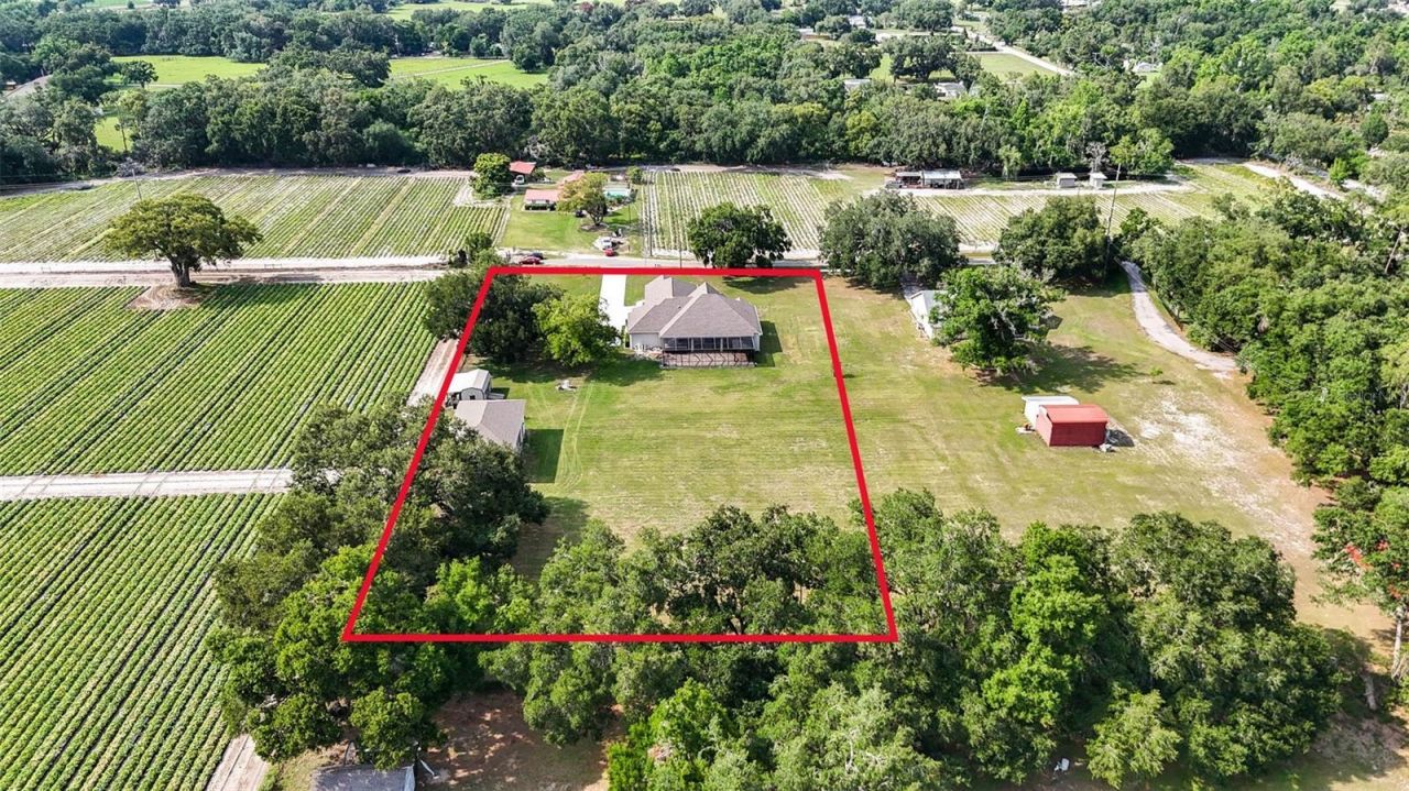 5319 W Trapnell Road, Dover, FL 33527 Photo