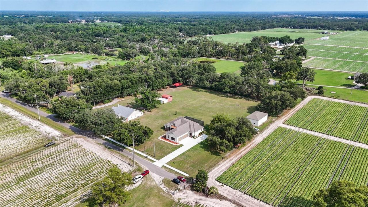 5319 W Trapnell Road, Dover, FL 33527 Photo