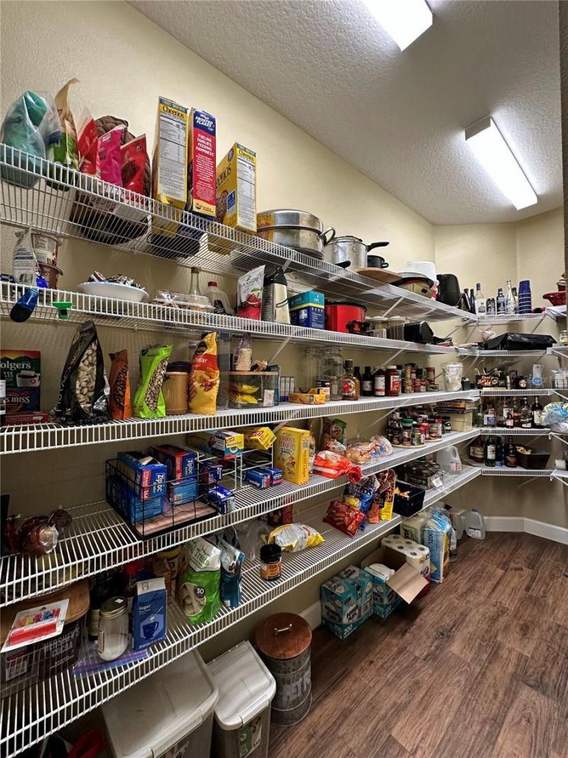 5319 W Trapnell Road, Dover, FL 33527 Photo