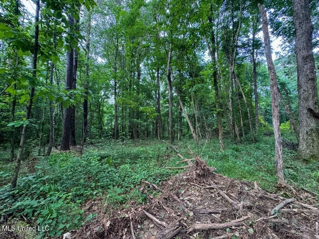 2 Old Hamburg Road, Roxie, MS 39661 Main Photo