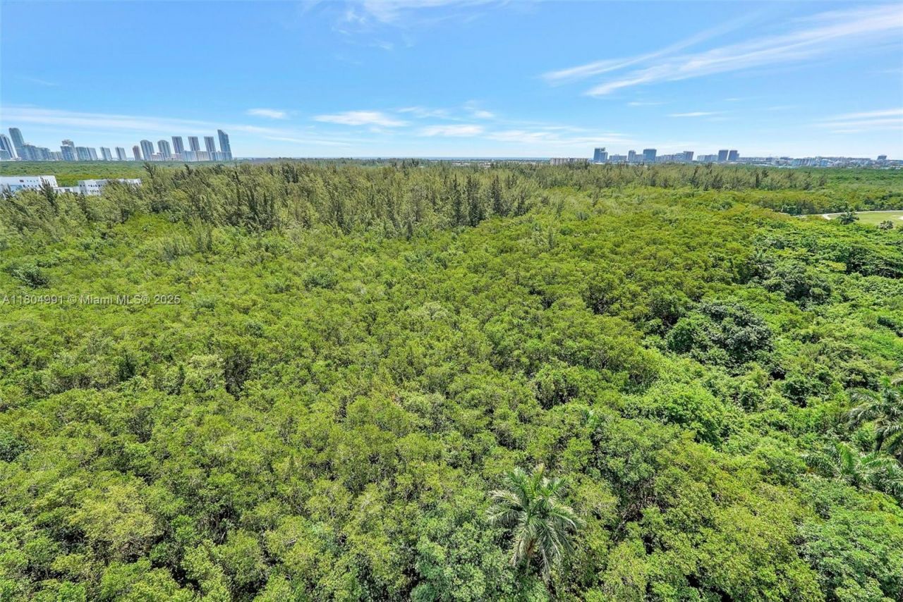 14951 Royal Oaks Ln, Unit 1406, North Miami, FL 33181 Photo