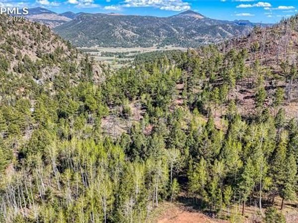 56 Fir Lane, Florissant, CO 80816