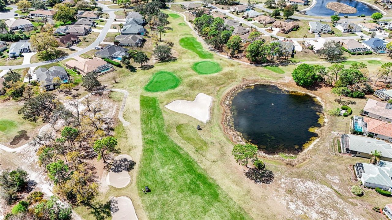 9226 Players Drive, Weeki Wachee, FL 34613 Photo