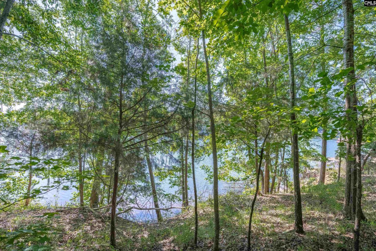 2022 Lake Road Photo 10