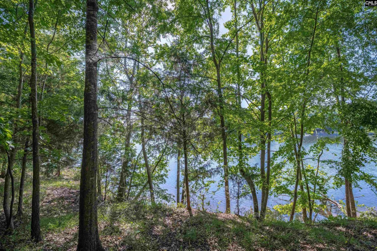 2022 Lake Road Photo 11