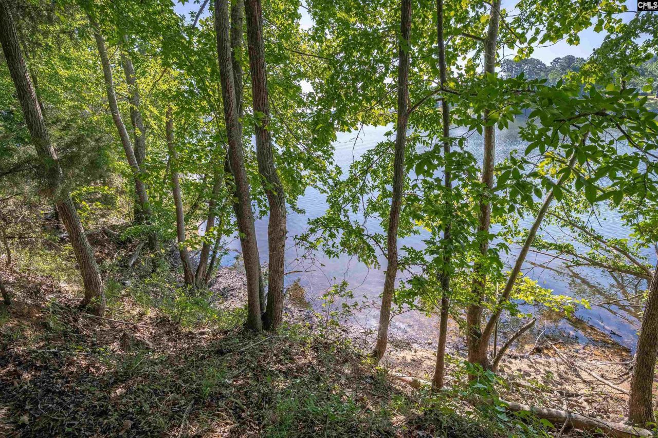 2022 Lake Road Photo 12