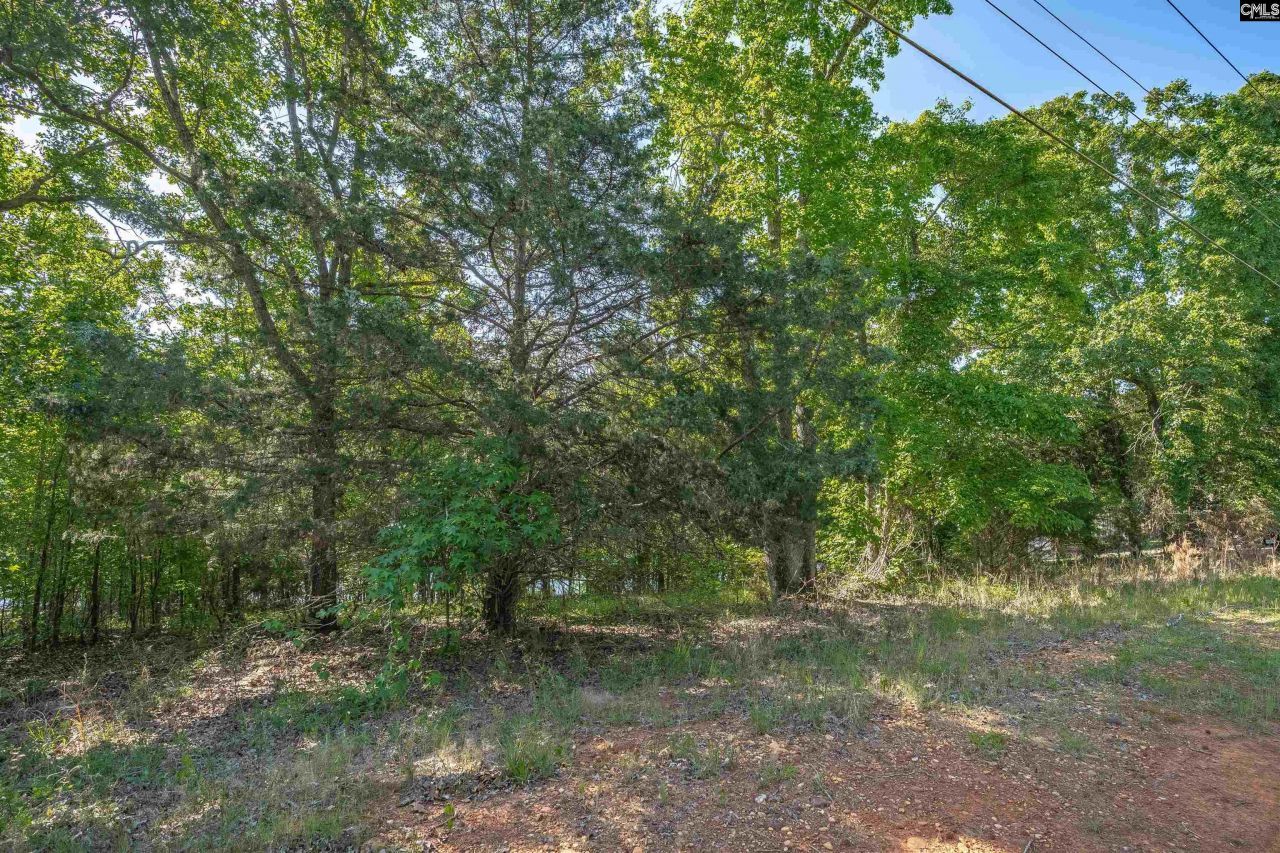 2022 Lake Road Photo 13