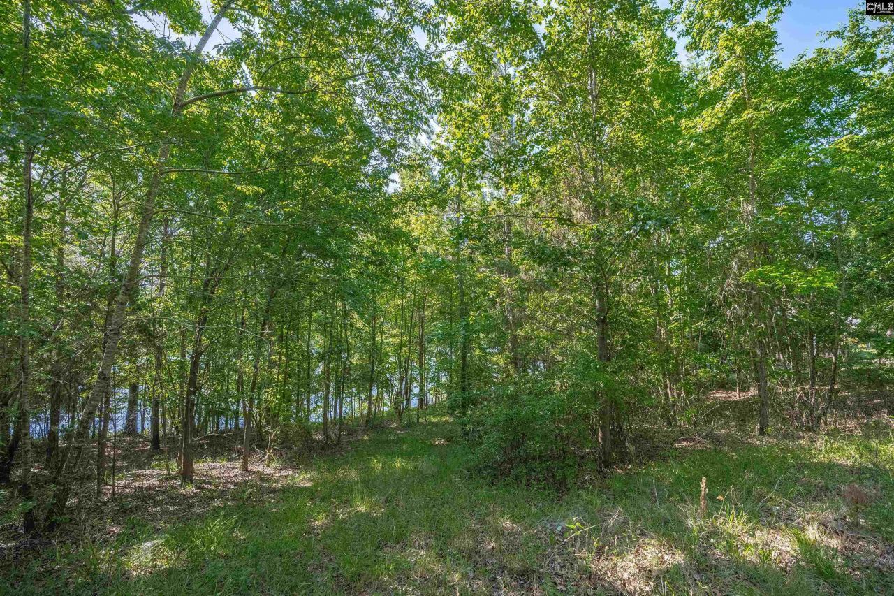 2022 Lake Road Photo 14