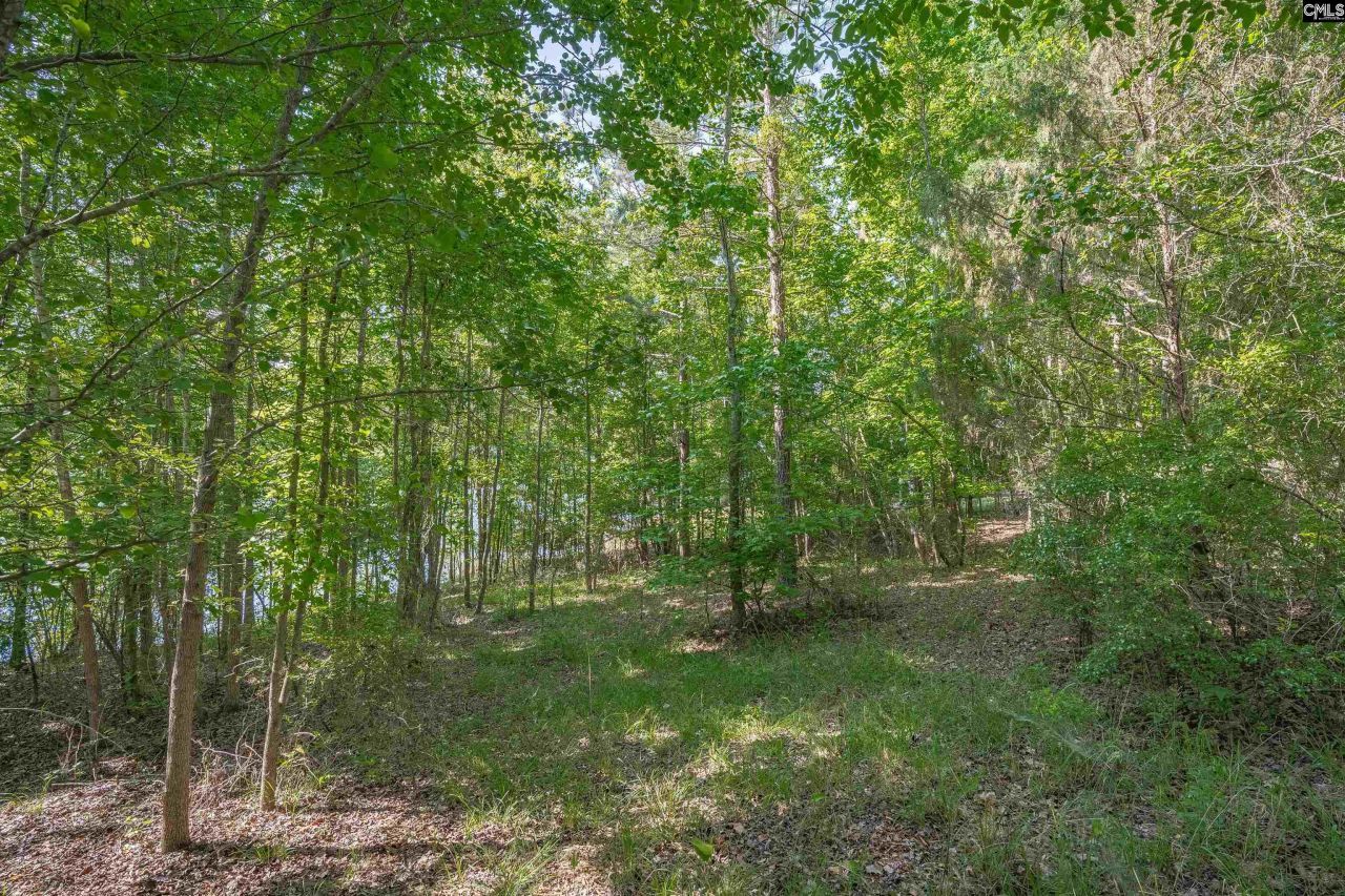 2022 Lake Road Photo 16