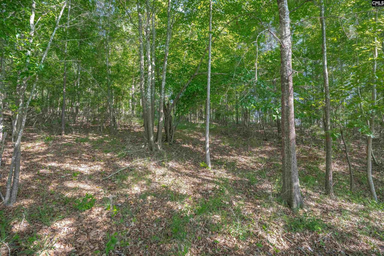 2022 Lake Road Photo 18