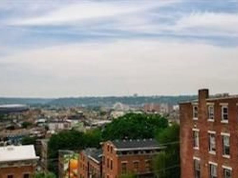 1 Mulberry Street, Cincinnati, OH 45202 Photo 3
