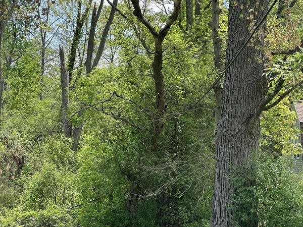 L30 Inwood Avenue, Schenectady, NY 12309