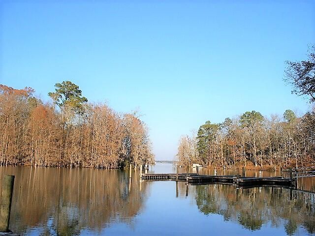 202 Trillium Court Photo 28