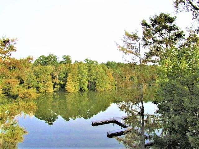 202 Trillium Court Photo 32