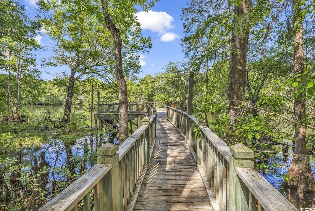 4131 Gunter Lake Rd. Photo 35