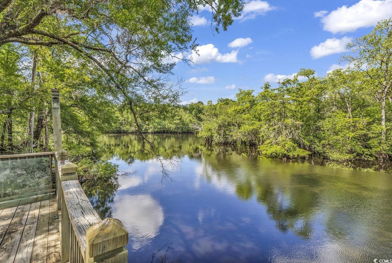 4131 Gunter Lake Rd. Photo 37