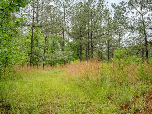 0000 Henderson Road, Jackson, MS 39272