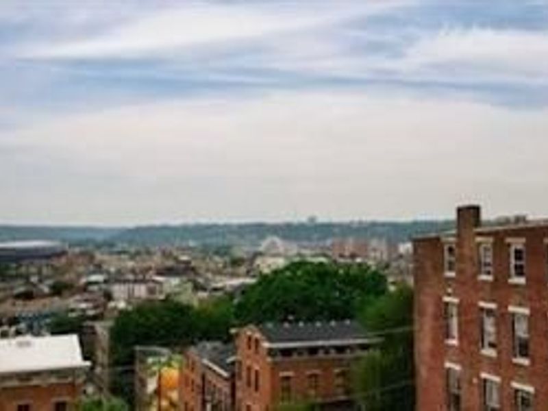 2 Mulberry Street, Cincinnati, OH 45202 Photo 3
