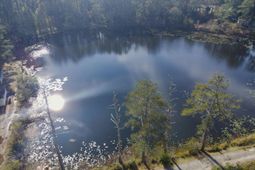 101 Moolah Drive photo 4