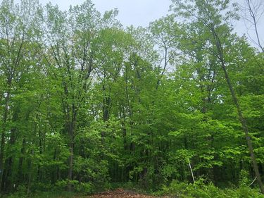 XXXXX Journeys end, Garrison, MN 56450