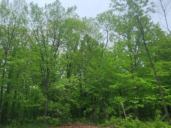 XXXXX Journeys end, Garrison, MN 56450