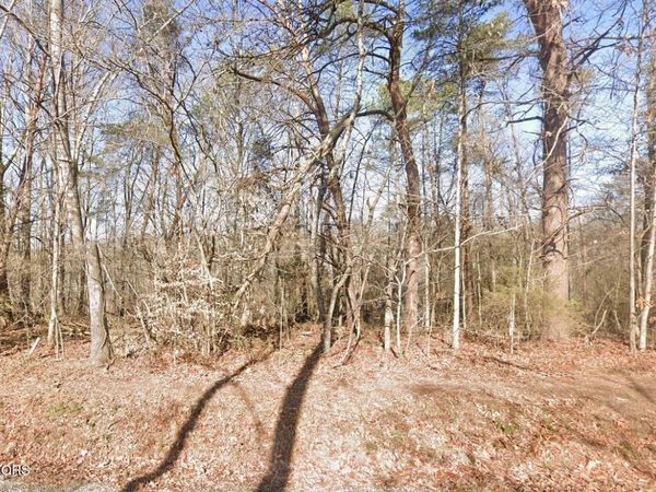 111 Chanusi Way, Loudon, TN 37774