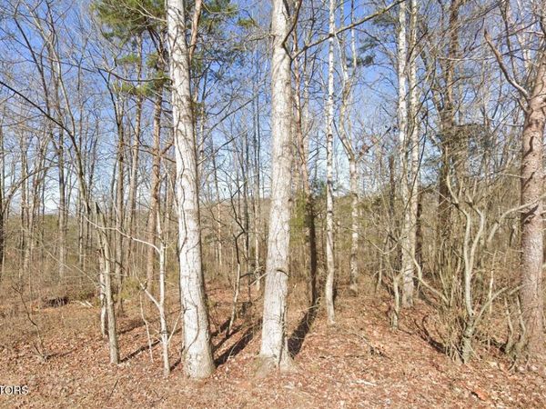 115 Chanusi Way, Loudon, TN 37774