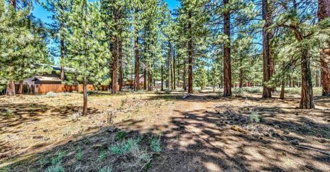 941 Silver Dollar Avenue, South Lake Tahoe, CA 96150 Photo
