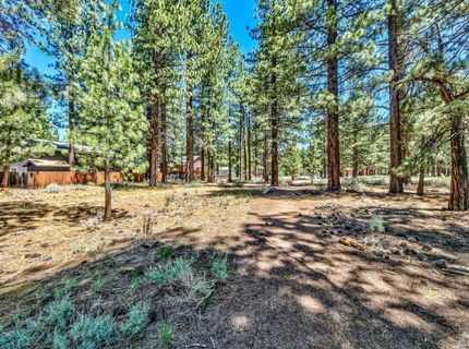 941 Silver Dollar Avenue, South Lake Tahoe, CA 96150 Photo