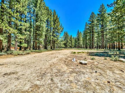 941 Silver Dollar Avenue, South Lake Tahoe, CA 96150 Photo