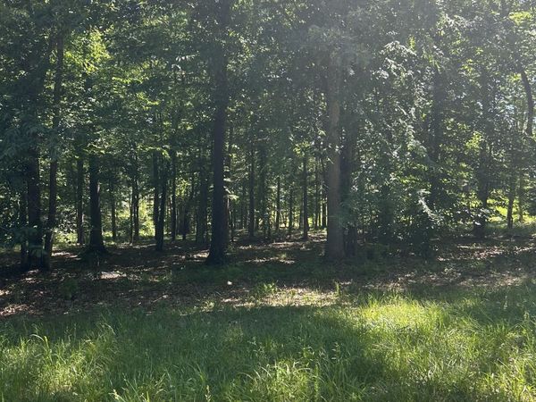 27 Sportsman Cove, Huntingdon, TN 38344