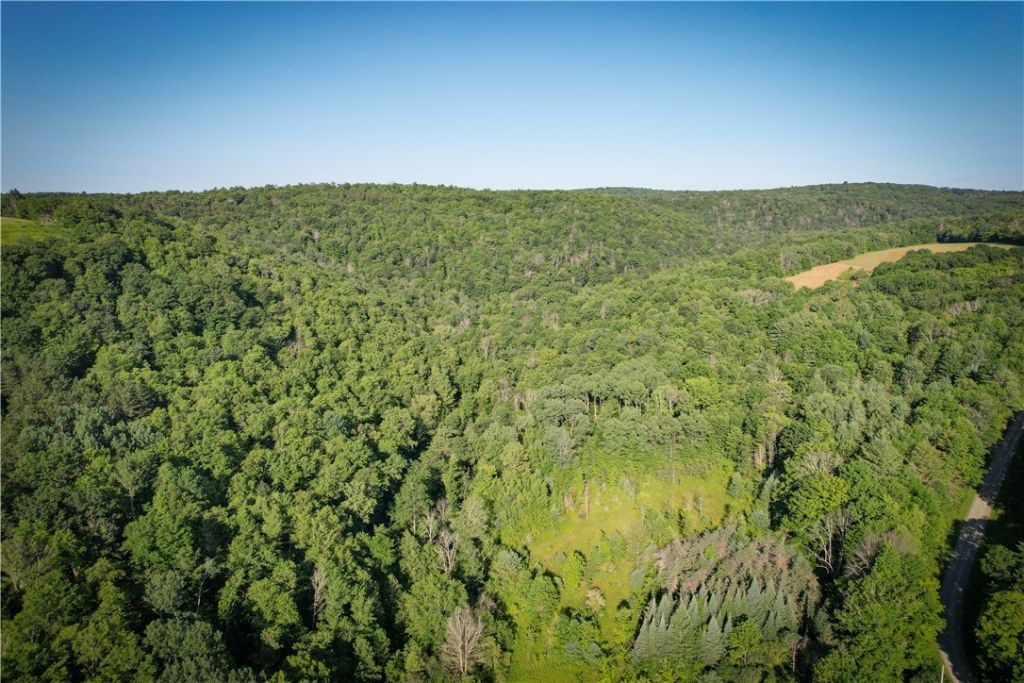 Williams Road, Candor, NY 13743 Main Photo