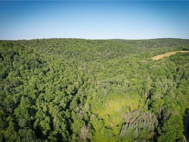 Williams Road, Candor, NY 13743