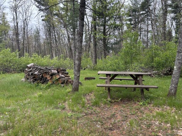 6986 W Baldwin Road, Baldwin, MI 49304