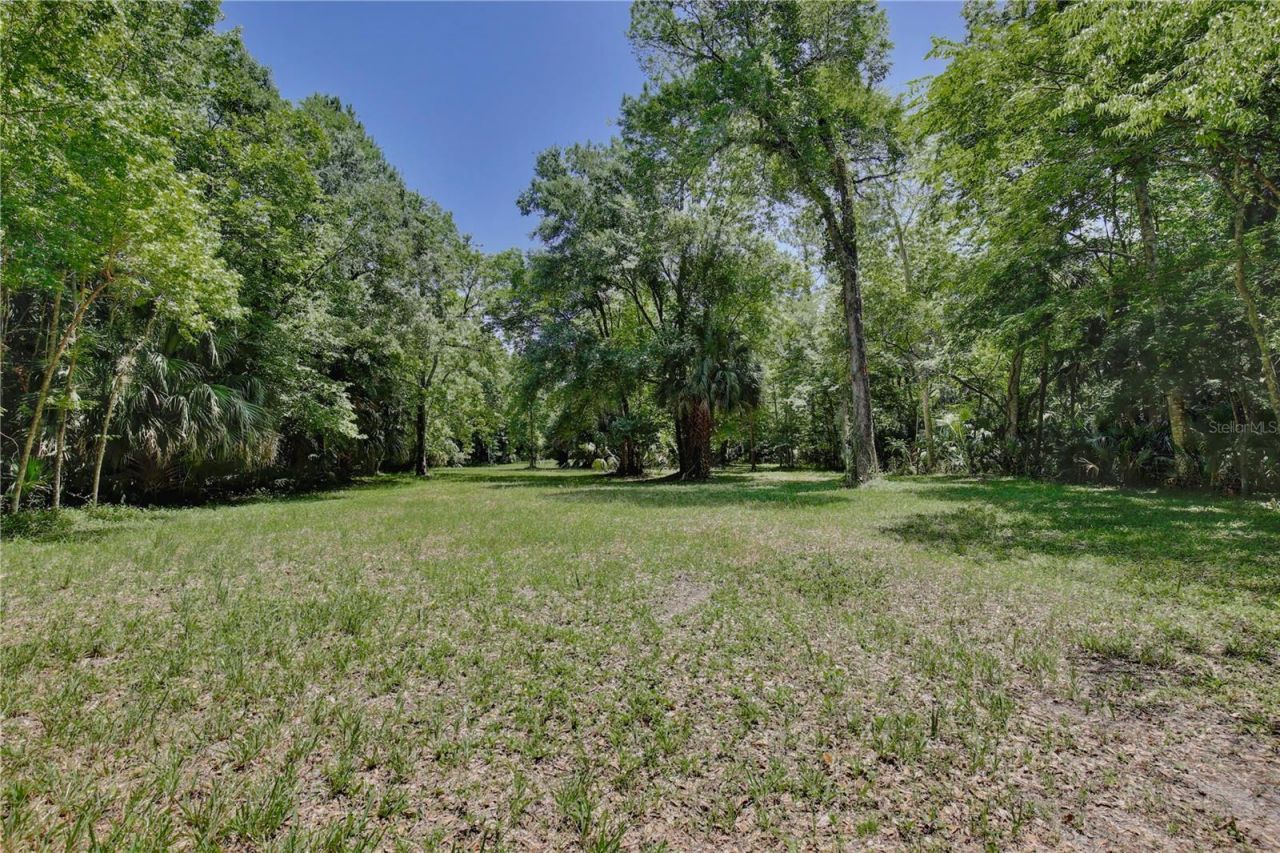 183 Parsons Road, Longwood, FL 32779 Photo