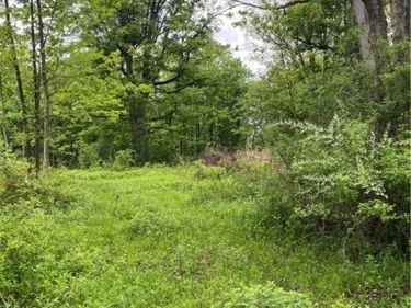 Seymour Lane, Westmoreland, NY 13490