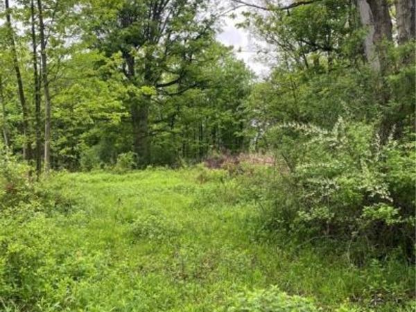 Seymour Lane, Westmoreland, NY 13490