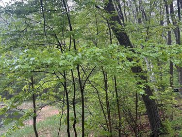 TBD Powder Horn, Cushing, MN 56443