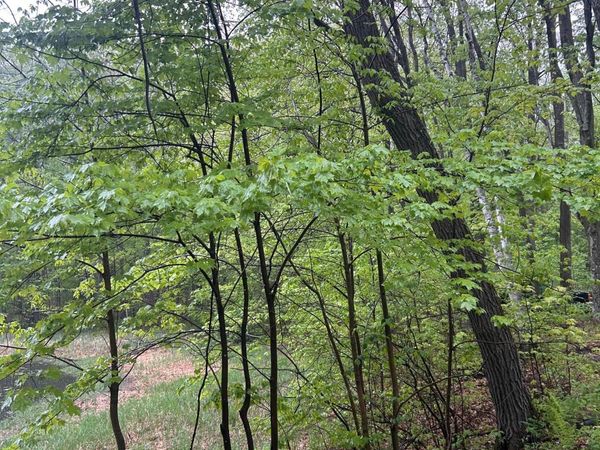 TBD Powder Horn, Cushing, MN 56443