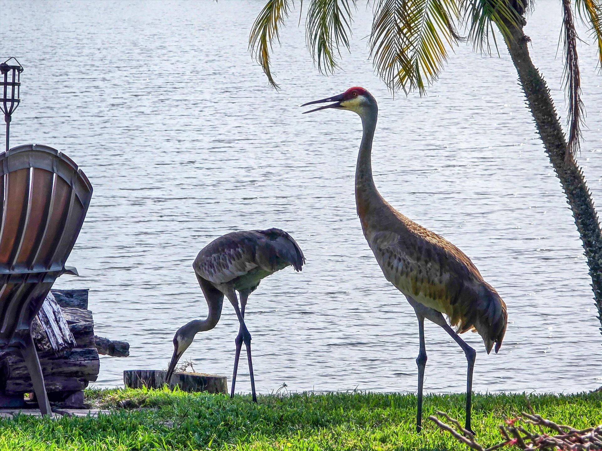 1936 SW Wood Duck Lane, Palm City, FL 34990 Photo