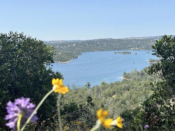 1119 Montauk Vista, Pilot Hill, CA 95664