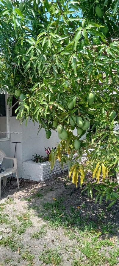 3161 NW 5th St, Lauderhill, FL 33311 Photo