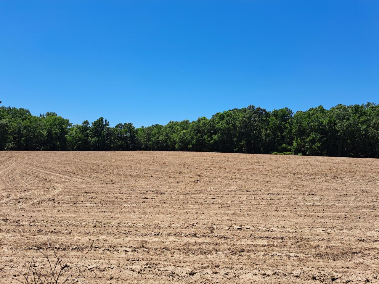 02 Muldoon Drive Photo 2