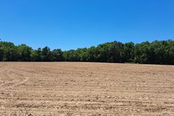 02 Muldoon Drive photo 4