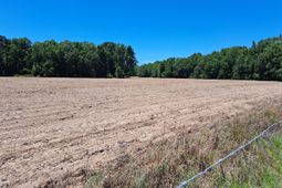 02 Muldoon Drive photo 4