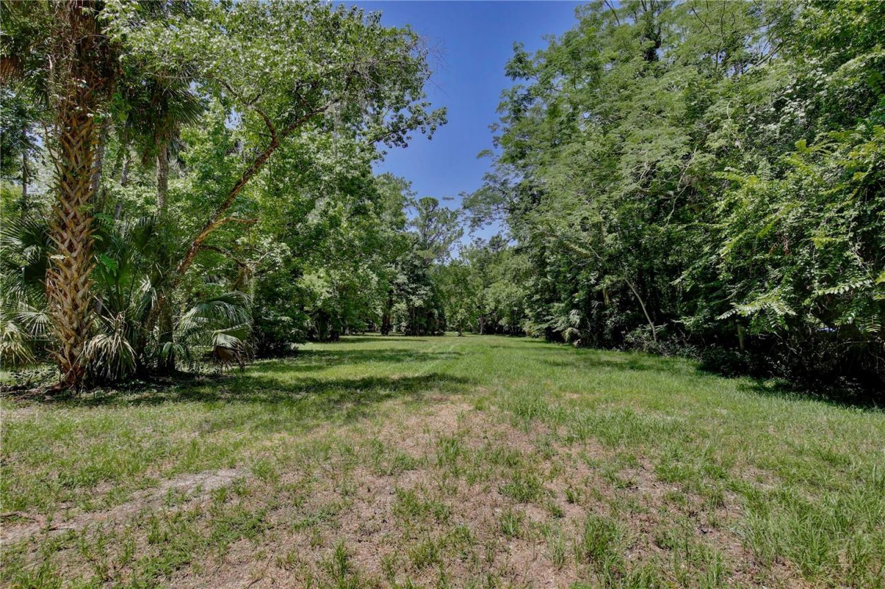 195 Parsons Road, Longwood, FL 32779 Photo