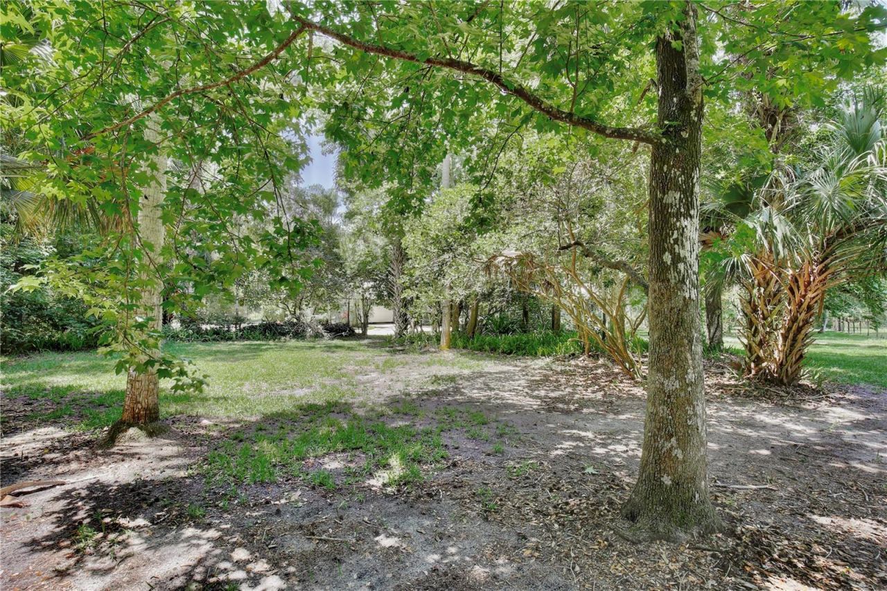 195 Parsons Road, Longwood, FL 32779 Photo