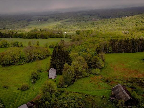 187 Hahn Road, Callicoon Center, NY 12758